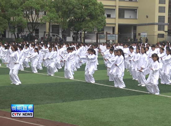 白霓镇中心小学举办太极进校园活动展示